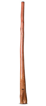 Tristan O'Meara Didgeridoo (TM330)